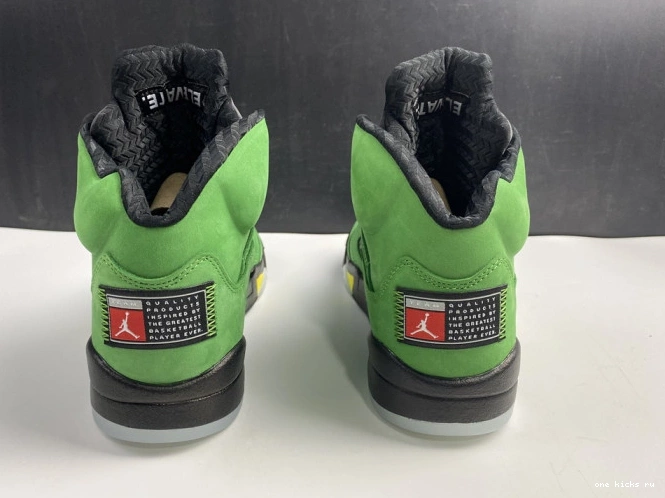 Cheap 5 SE Jordan Ducks Air CK6631-307 Oregon 0521